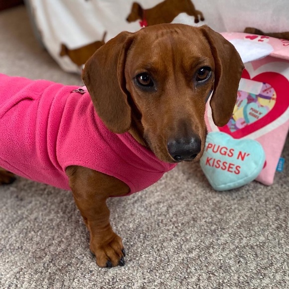 Meet your Posher, Elena - Picture 1 of 1